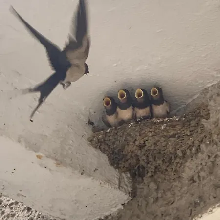 Casa de Férias Repere Des Templiers