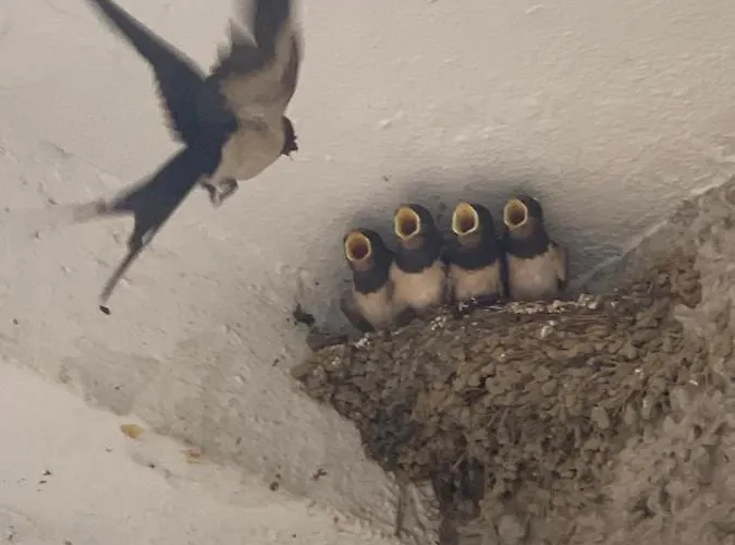 بيت للعطل Repere Des Templiers